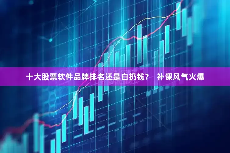 十大股票软件品牌排名还是白扔钱？  补课风气火爆